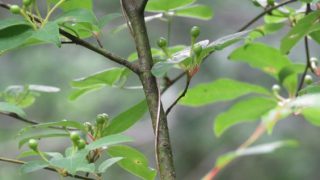 2463f33a859505b4bb81fc7f0fe6be07 2463f33a859505b4bb81fc7f0fe6be07