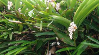 2776_20101230T201357_0_jpg_354x326_crop_upscale_q85 2776_20101230T201357_0_jpg_354x326_crop_upscale_q85