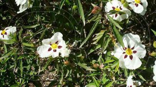 789-tm_thickbox_default 789-tm_thickbox_default