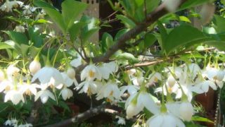 b0128101_23252761 b0128101_23252761