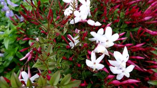 b36ace67af665ef9232d6347bcf8d310 b36ace67af665ef9232d6347bcf8d310