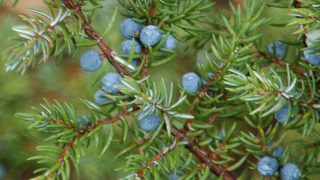 jun com1 fr jun com1 fr