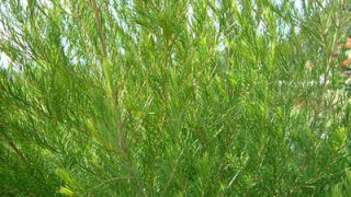 o0400030013304535660 o0400030013304535660