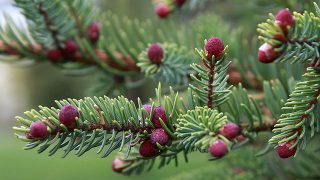 s468003859194629765_p298_i4_w640 s468003859194629765_p298_i4_w640