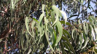 yu-kari-thumb yu-kari-thumb