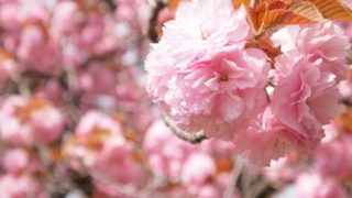 8cf2f90e1f4473d351c41f6da85f8687_s 8cf2f90e1f4473d351c41f6da85f8687_s