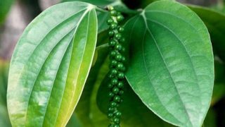 83u838983b83N83y83b83p815B8ECA905E2 83u838983b83N83y83b83p815B8ECA905E2