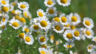 b77433c70cc4430c8fa094ee3a227cd7 b77433c70cc4430c8fa094ee3a227cd7