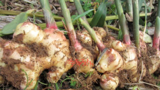 d0231263_655970 d0231263_655970